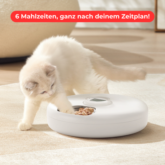Petties Automatischer Futterspender